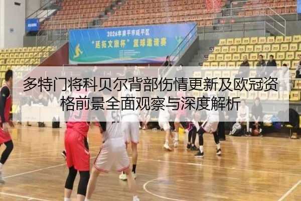 多特门将科贝尔背部伤情更新及欧冠资格前景全面观察与深度解析